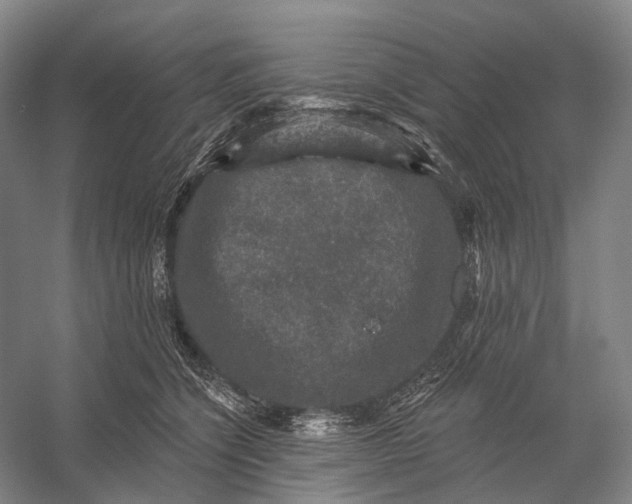 X0000056330564200509161712