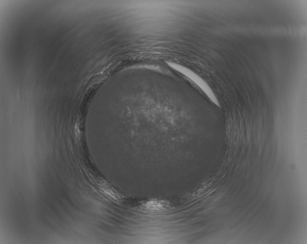 X0000056330566200509161712