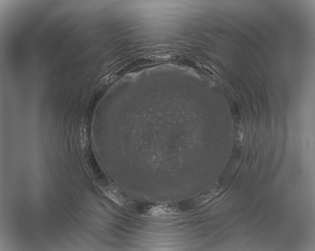 X0000056330568200509161712