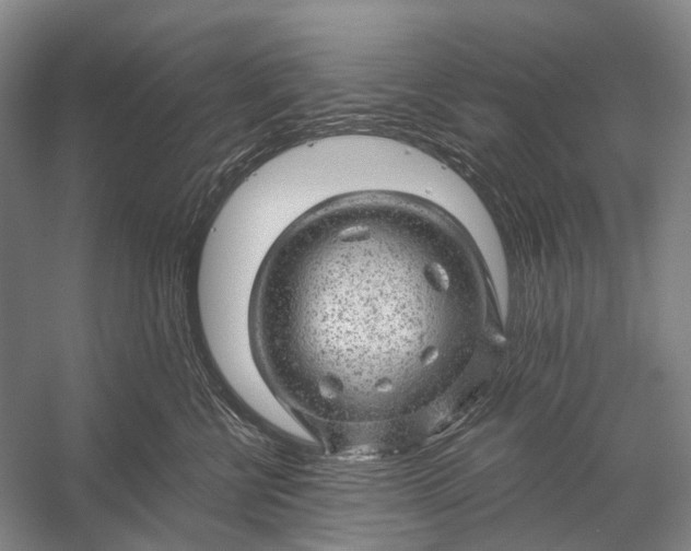 X0000056330570200509161712