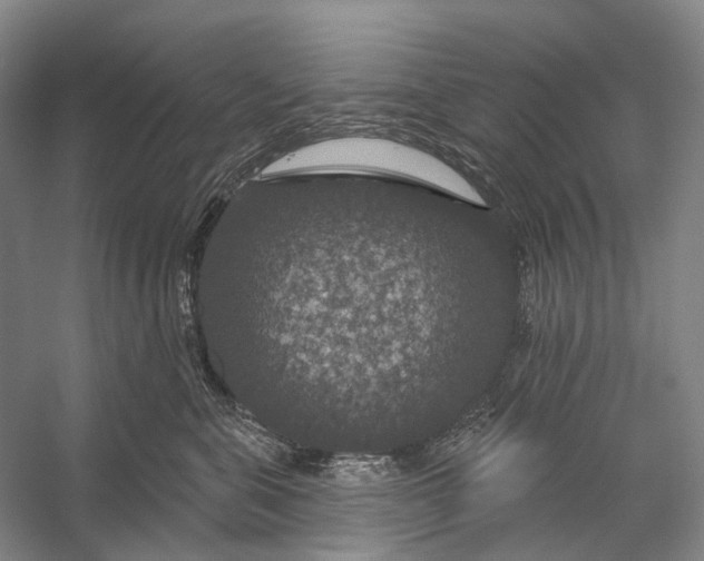 X0000056330571200509161712