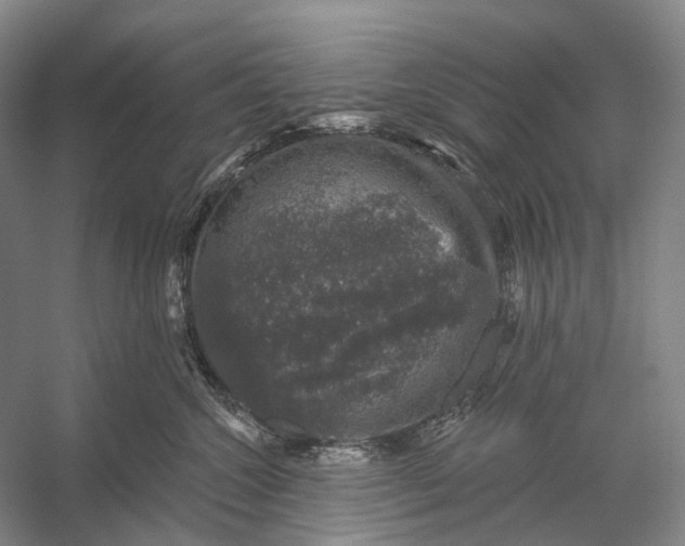 X0000056330572200509161712