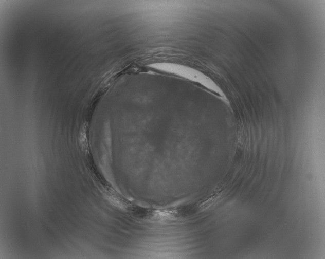 X0000056330573200509161712