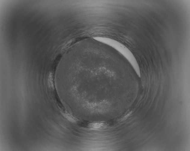 X0000056330575200509161712