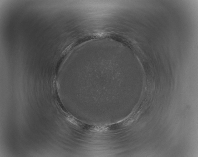 X0000056330576200509161712