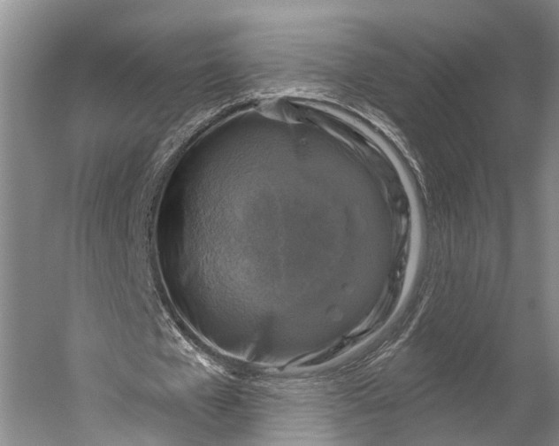 X0000056330577200509161712