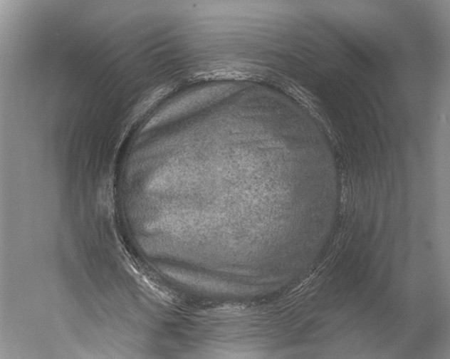 X0000056330578200509161712