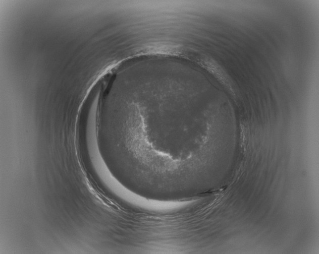 X0000056330580200509161712