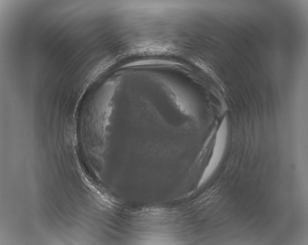 X0000056330582200509161712