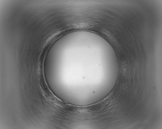 X0000056330583200509161712