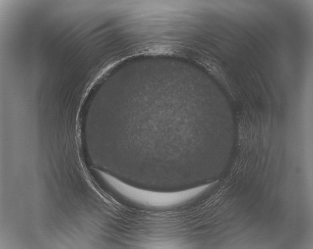 X0000056330584200509161712