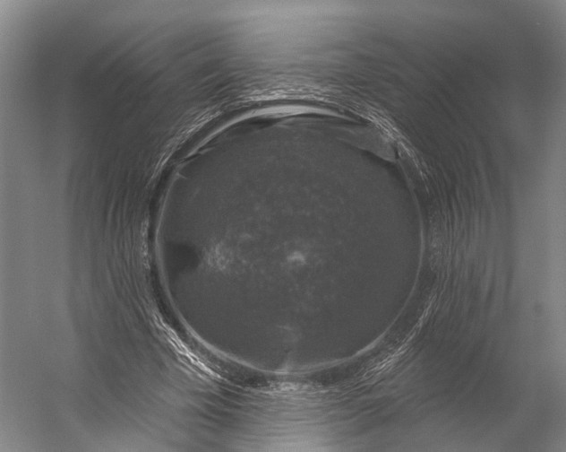 X0000056330585200509161711