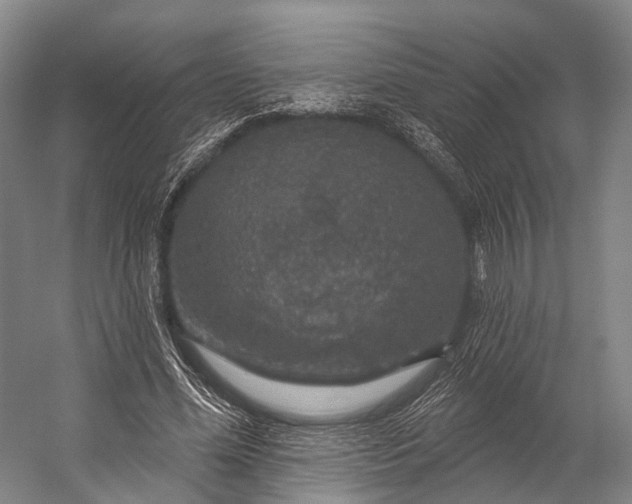 X0000056330588200509161711