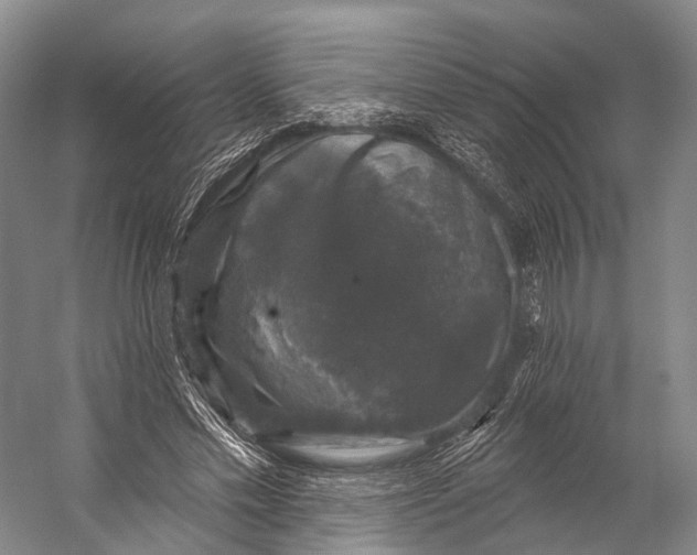 X0000056330589200509161711