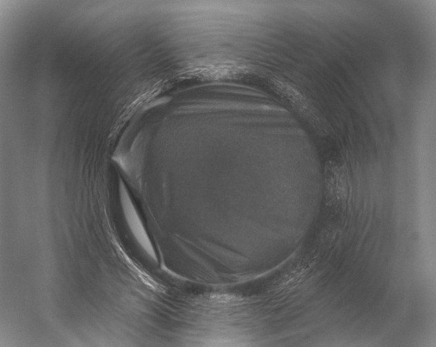 X0000056330590200509161711