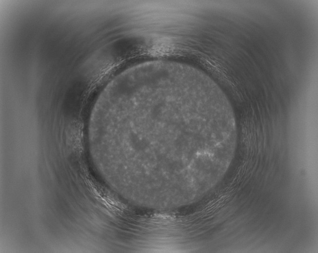 X0000056330592200509161711