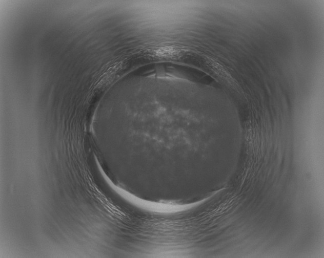 X0000056330593200509161711