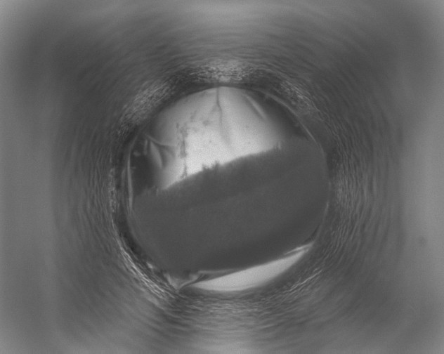 X0000056330594200509161711