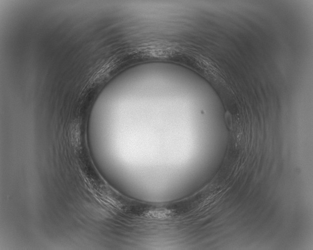 X0000056330595200509161711