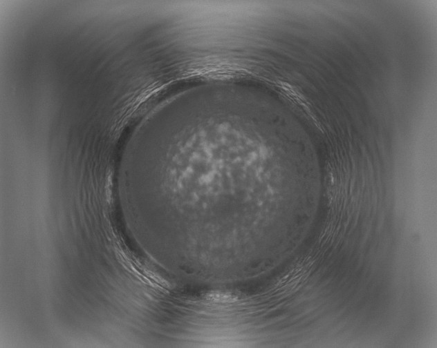 X0000056330596200509161711