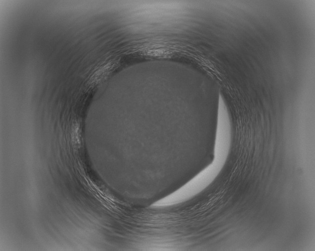 X0000056330597200509161711