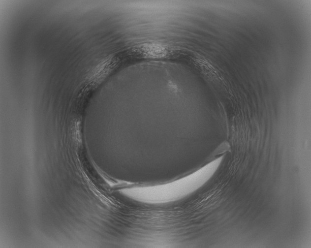 X0000056330598200509161711