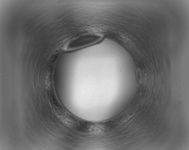 X0000056330599200509161711