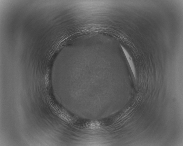 X0000056330600200509161711