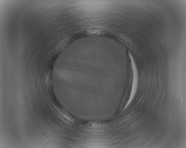 X0000056330601200509161711