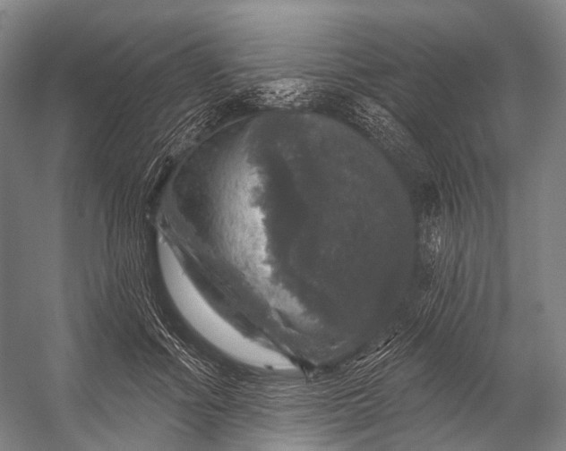 X0000056330602200509161711