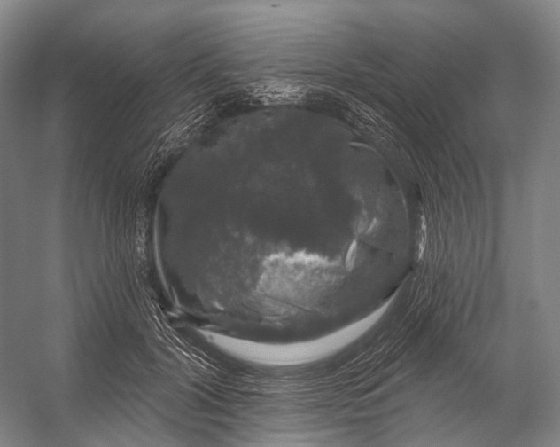 X0000056330604200509161711