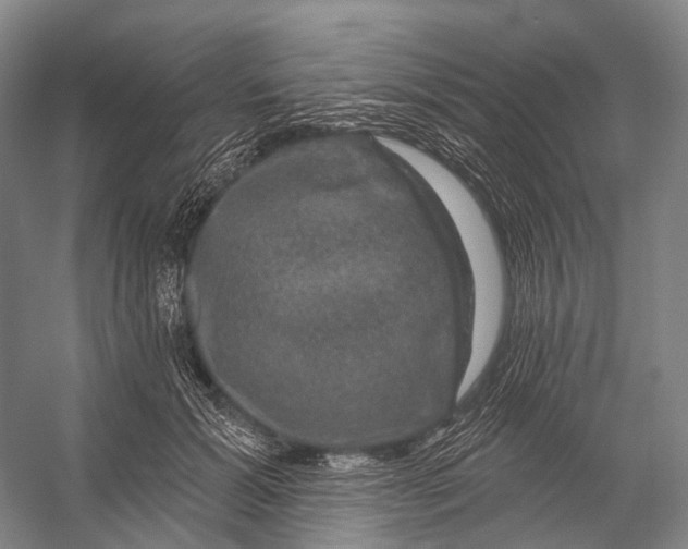 X0000056330605200509161711