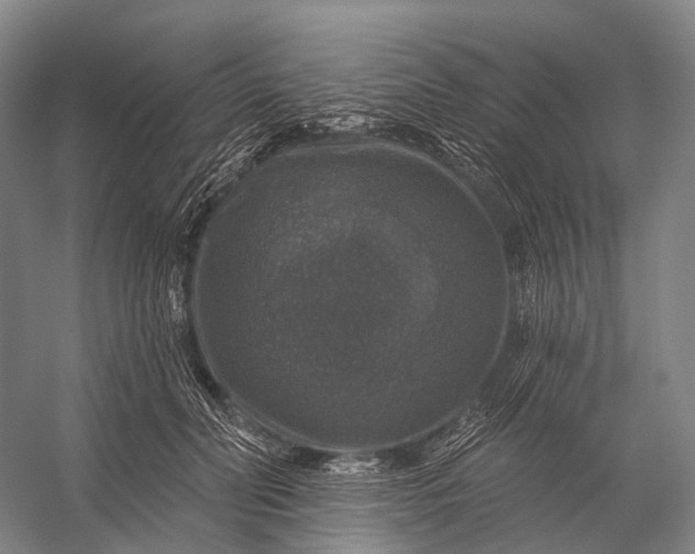 X0000056330606200509161711