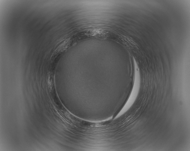 X0000056330607200509161711