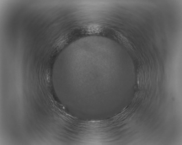 X0000056330608200509161711