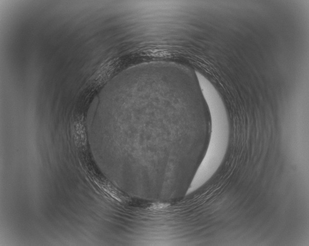 X0000056330609200509161711