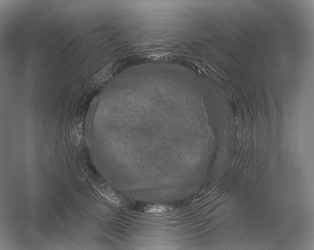 X0000056330611200509161711