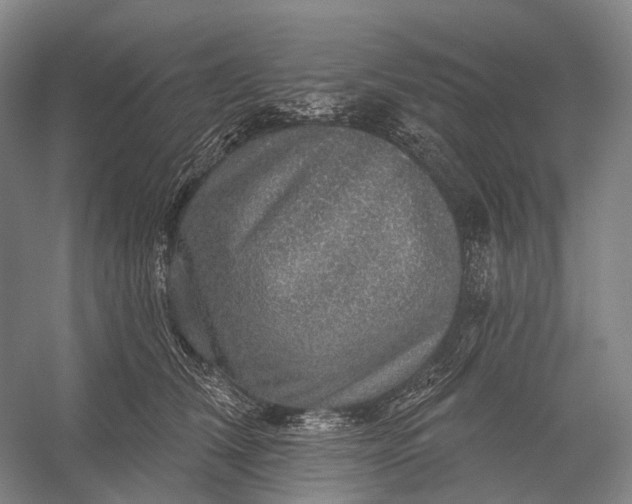 X0000056330612200509161711