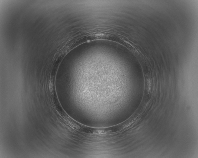 X0000056330613200509161711