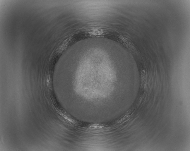 X0000056330614200509161711