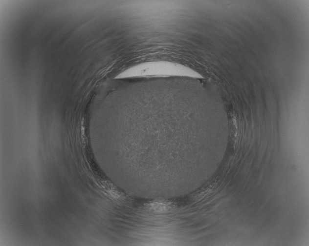 X0000056330615200509161711