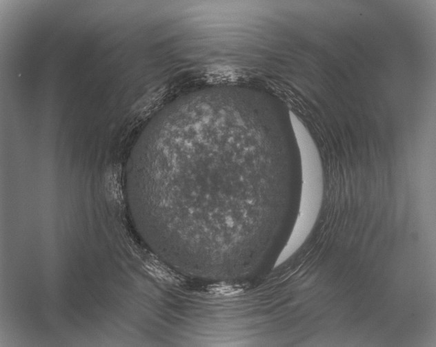 X0000056330616200509161711