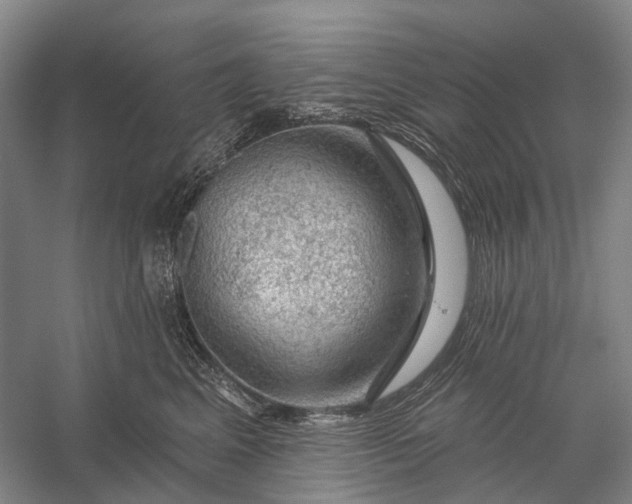 X0000056330617200509161711