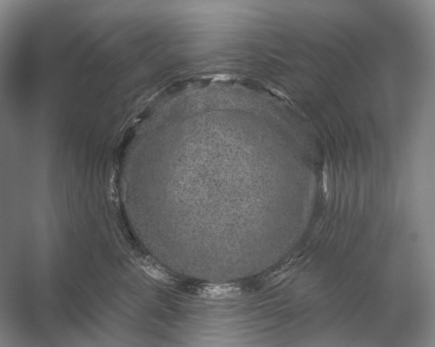 X0000056330619200509161711