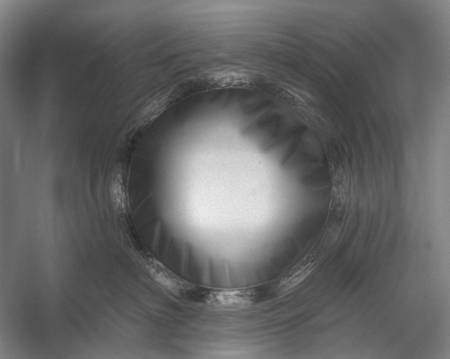 X0000056330622200509161711