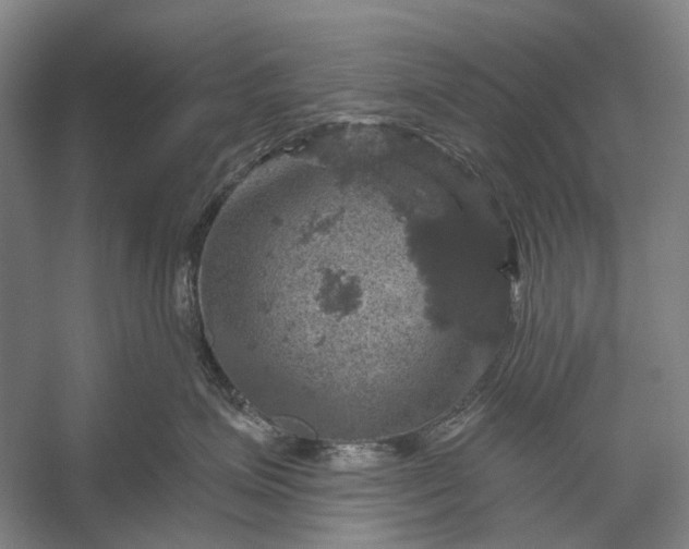 X0000056330623200509161711