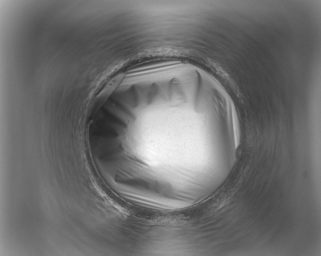 X0000056330625200509161710