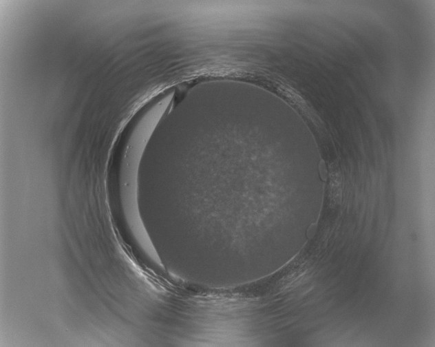 X0000056330626200509161710