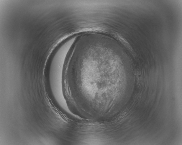 X0000056330628200509161710