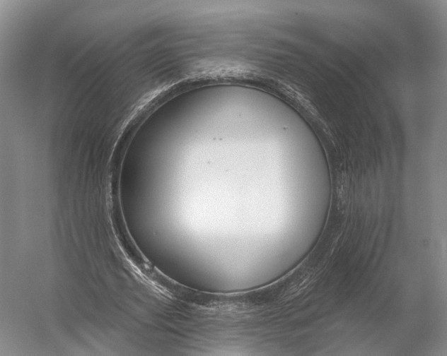 X0000056330629200509161710